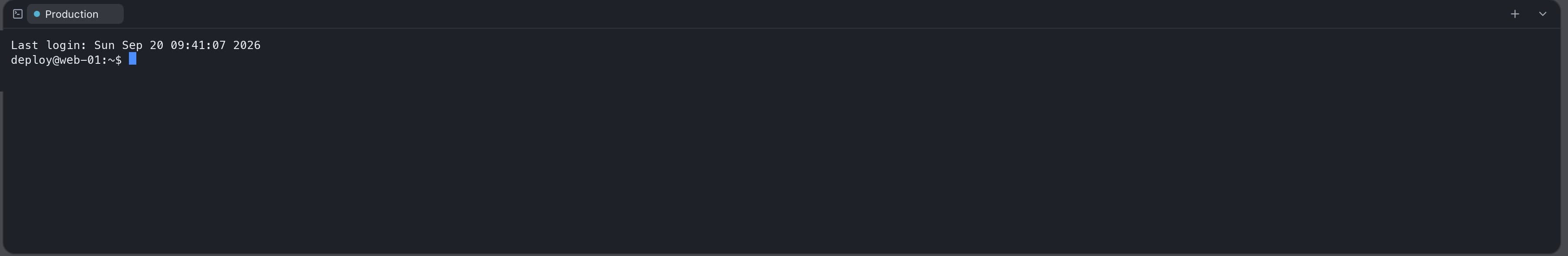 Ferry's terminal drawer with a shell prompt on the connected server